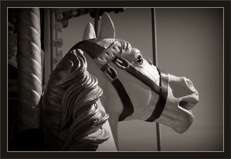 BLOG-DSC_8063-cheval manège Eyrac sépia V