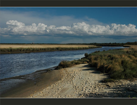 BLOG-DSC_9072-Leyre et Smurfit en amont