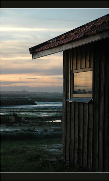 BLOG-DSC_2529-cabane Larros, couchant port Gujan et Arcachon