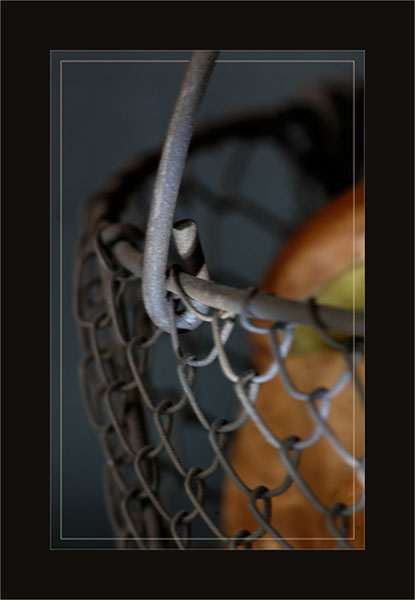 BLOG-DSC_2653-anse panier bolets