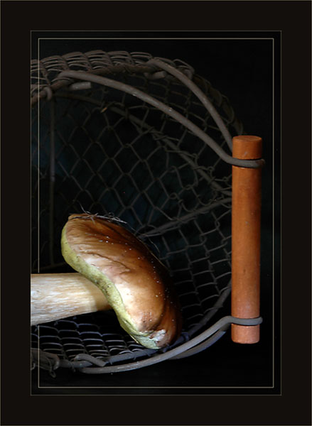 BLOG-DSC_2659-anse panier et cèpe