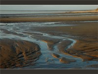 BLOG-DSC_2755-sillons plage du Teich