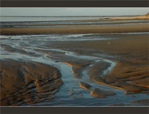 BLOG-DSC_2755-sillons plage du Teich