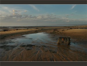 voir le panier de crabe plage du Teich