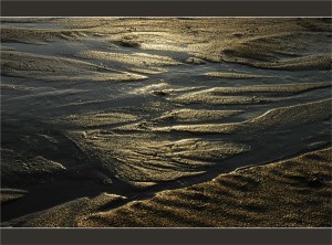 BLOG-DSC_2772-sable d'or