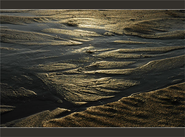 BLOG-DSC_2772-sable d'or