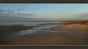 voir les herbiers plage du Teich