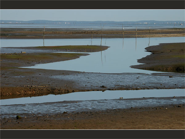 BLOG-DSC_9960-Larros face à Arcachon