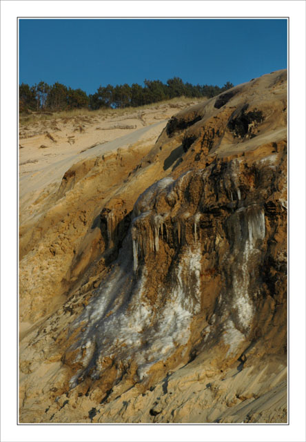 BLOG-DSC_3476-stalactites de glace et pins sommet dune Pyla nord