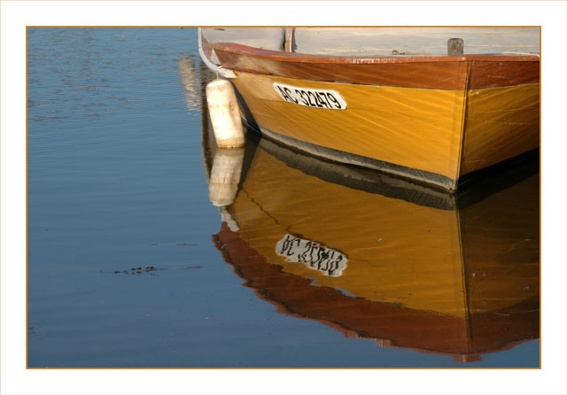 BLOG-DSC_3901-proue jaune et reflet
