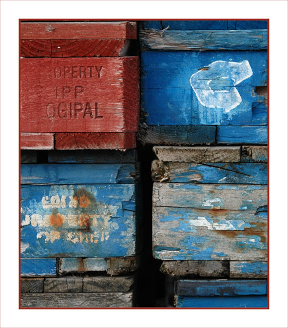 BLOG-DSC_4062-palettes rouges et bleues