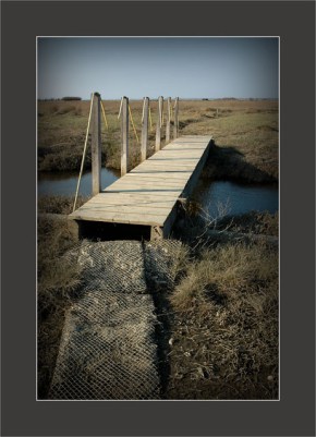 BLOG-DSC_4913-passerelle sentier la Mole2 (clic sur image pour afficher version N&B)