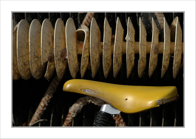 BLOG-DSC_5352-selle vélo et collecteurs à lamelles