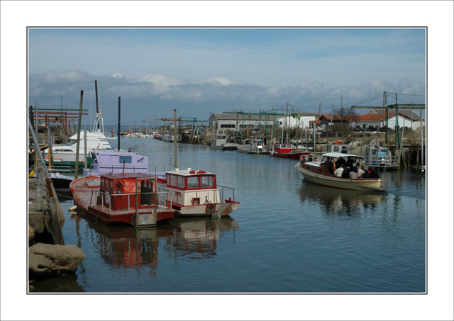 BLOG-DSC_5261-Shadok Fany Naja et Goëlane Meyran-Ouest