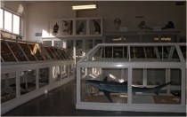 clic sur vignette pour voir article et photos du 10 Avril 2010