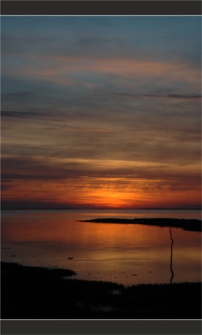 BLOG-DSC_6128-sentier du littoral le Teich au couchant
