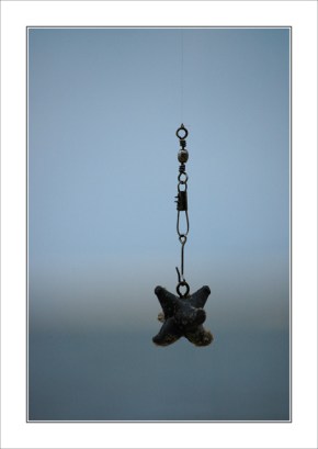 BLOG-DSC_6510-plomb de pêche face Cap-Ferret