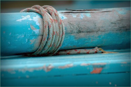 BLOG-DSC_6811-pinassotte la Fringante