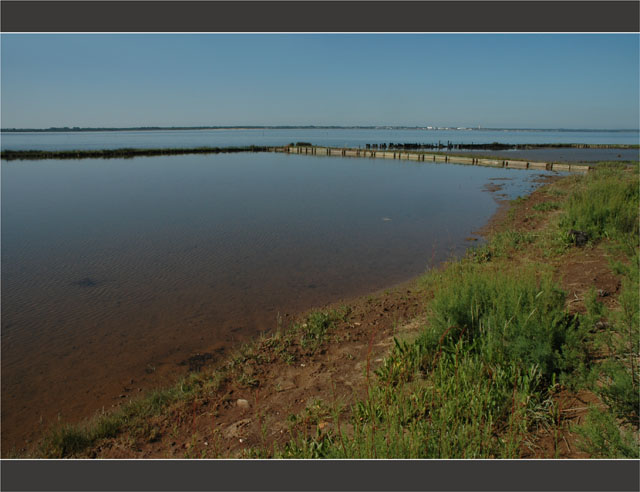 BLOG-DSC_6850-rivages Audenge, Bassin face le Teich et Gujan