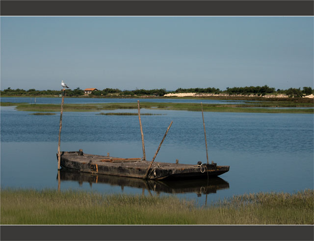 BLOG-DSC_6876-plate canal de Certes et maisonnette