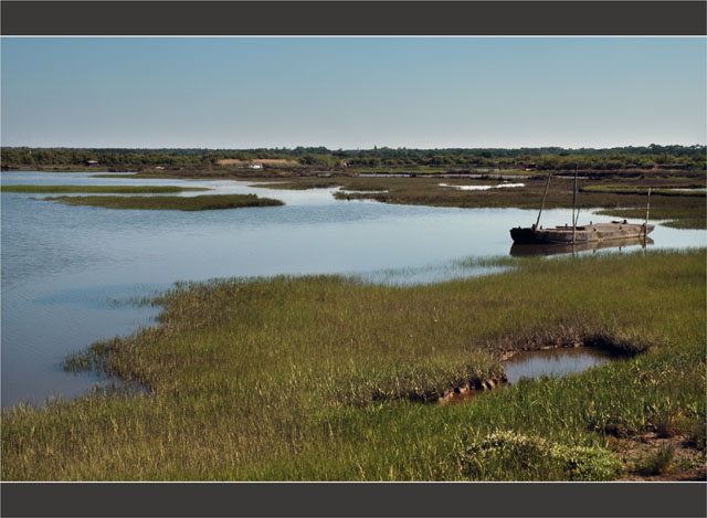 BLOG-DSC_6879-plate canal de Certes