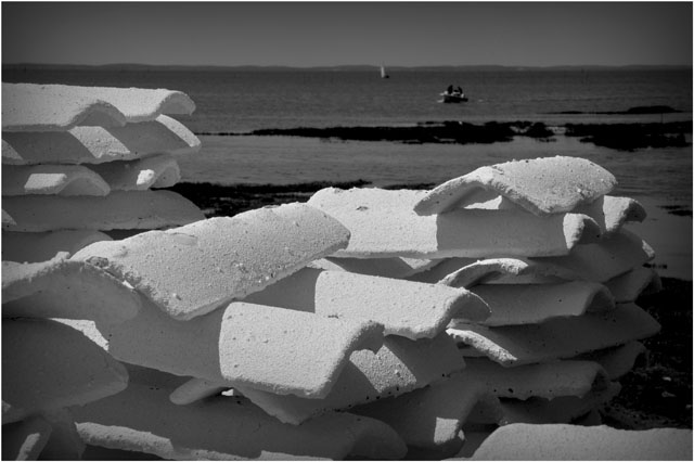 BLOG-DSC_7324-tuiles chaulées barbotière N&B