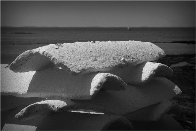 BLOG-DSC_7327-tuiles chaulées barbotière N&B