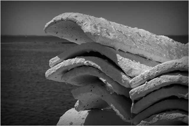 BLOG-DSC_7332-tuiles chaulées barbotière N&B