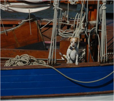 BLOG-DSC_8006-Obélix-les copains à bord-régate des maires le Teich