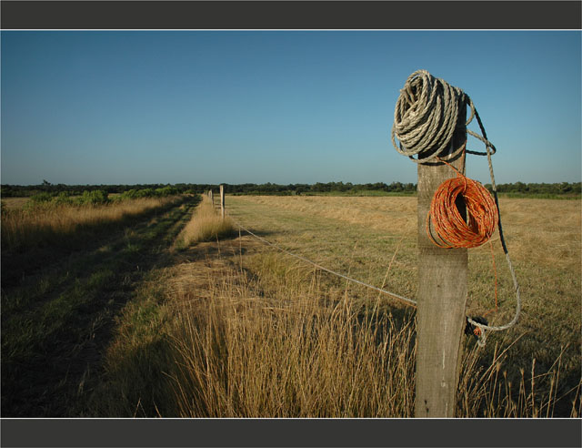 BLOG-DSC_8059-piquets cloture et champ