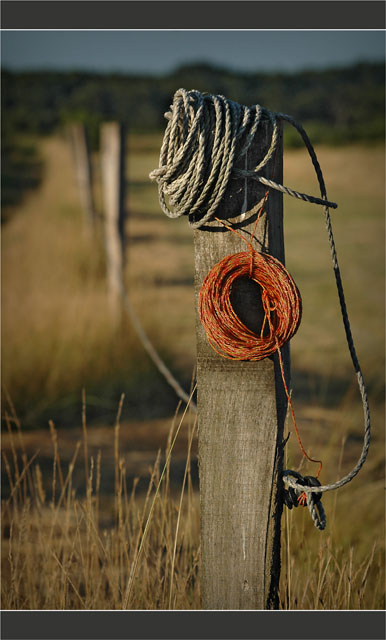BLOG-DSC_8064-corde et ficelle sur piquet
