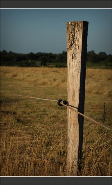 BLOG-DSC_8069-piquet cloture champ