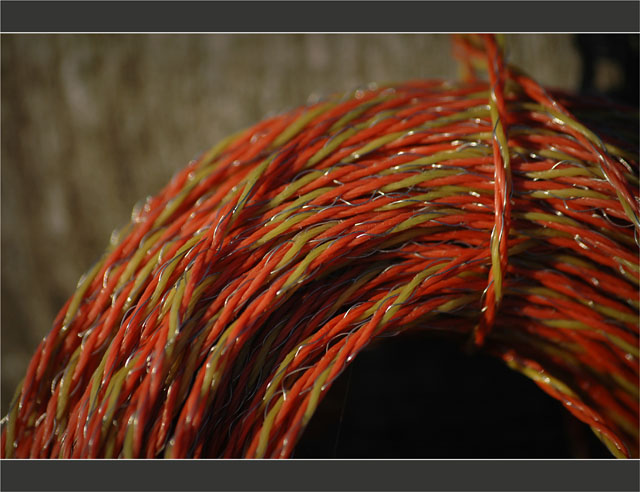 BLOG-DSC_8084-fil cloture rouge et jaune