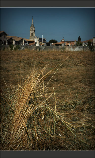 BLOG-DSC_8159-champ de foin et église