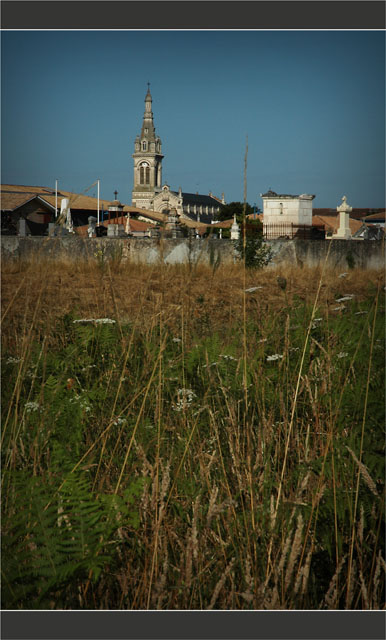 BLOG-DSC_8159-herbes folles, foin et église