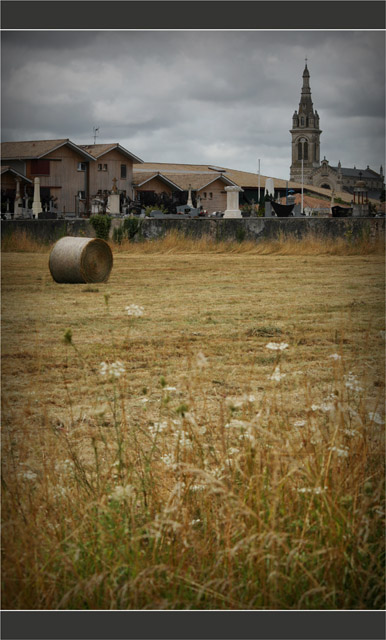 BLOG-DSC_8241-ombellifères, balle de foin et église
