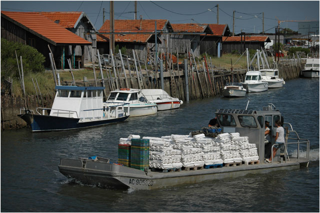 BLOG-DSC_8320-plate transport tuiles chaulées port Larros