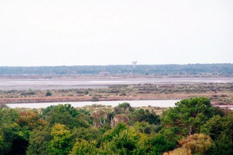 Sud-Ouest 4 Juin 2010 - Une plongée au coeur du delta