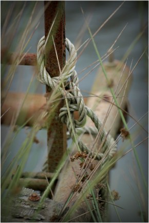 BLOG-DSC_8780-herbes folles et corde ponton Biganos