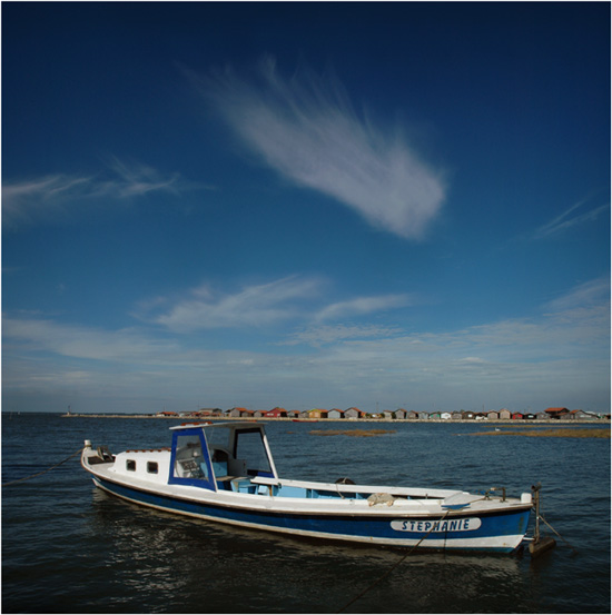 BLOG-DSC_9036-pinasse Stéphanie port Gujan et vue sur Larros