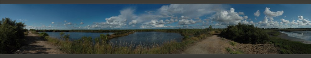 BLOG-DSC_9205 à 11-sentiel littoral le Teich et estey port de la Mole