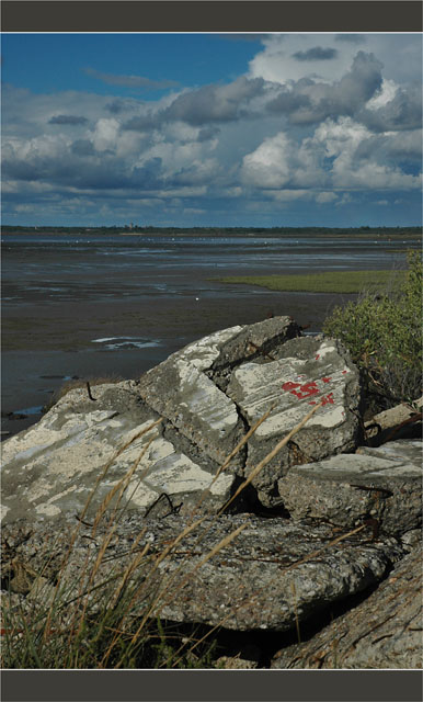 BLOG-DSC_9220-renforcement digues sentier littoral le Teich Gujan et vue Audenge