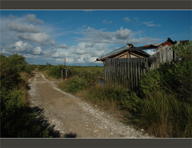 BLOG-DSC_9246-cabane en ruine et écluse sentier littoral le Teich Gujan