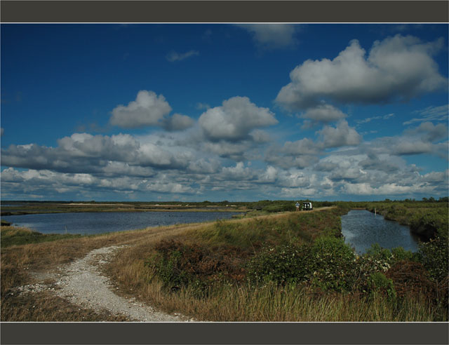 BLOG-DSC_9250-sentier littoral le Teich Gujan