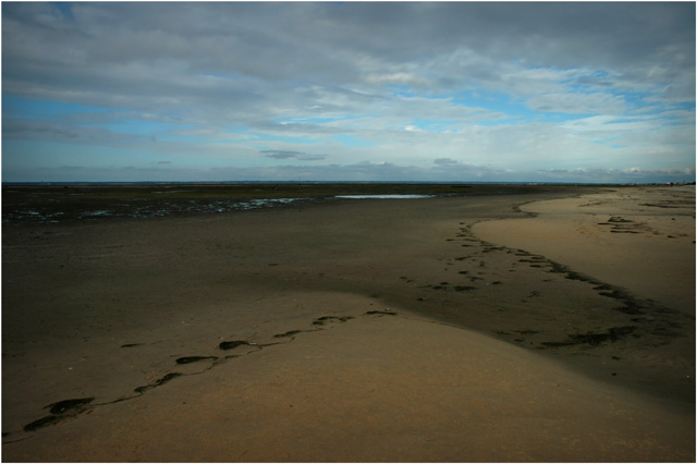 BLOG-DSC_9403-plage prés salés Est marée basse