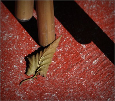 BLOG-DSC_9733-feuille morte, pieds chaises rotin et sol rouge plage Arbousiers