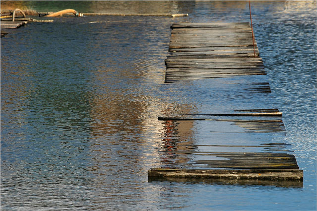 BLOG-DSC_4433-MeyranOuest lendemain Xynthia-