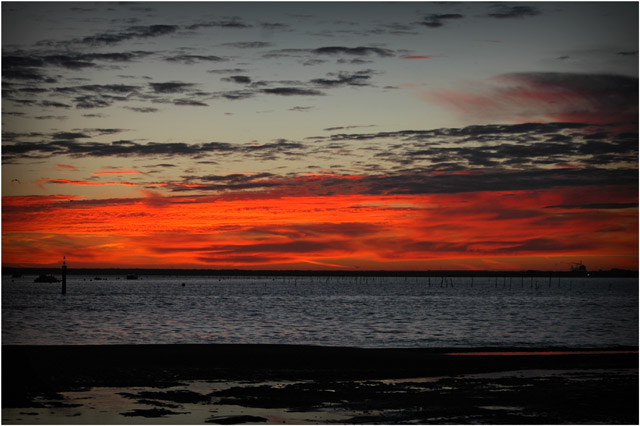 BLOG-DSC_0662-levant rivages port Arcachon