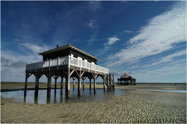 BLOG-DSC_0872-Tchanquées