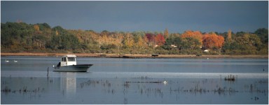 BLOG-DSC_1487-Rivages Jane de Boy et forêt Arès 2